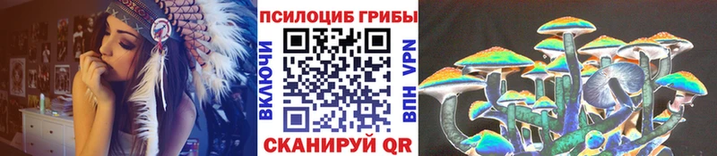 Купить где  Котовск  Галлюциногенные грибы Psilocybine cubensis 